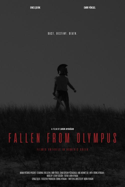 Fallen From Olympus 2026 official movie poster