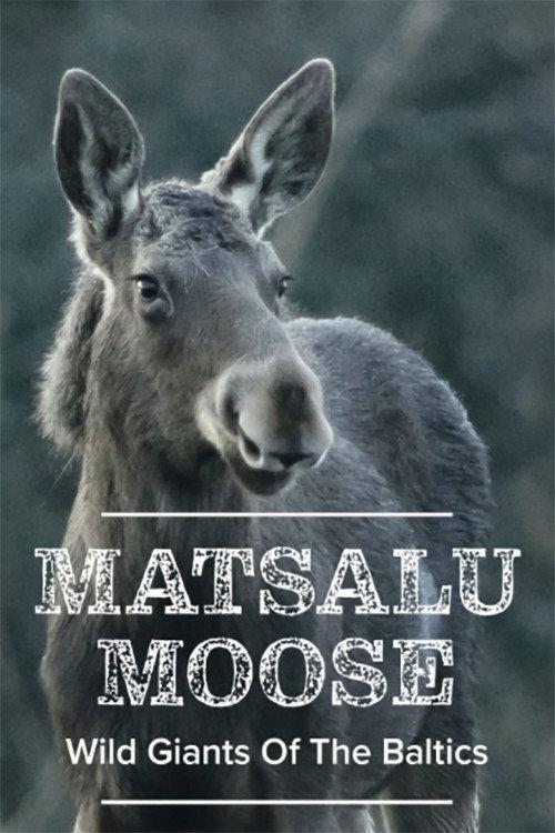 Matsalu Moose: Wild Giants of the Baltics 2019 official movie poster