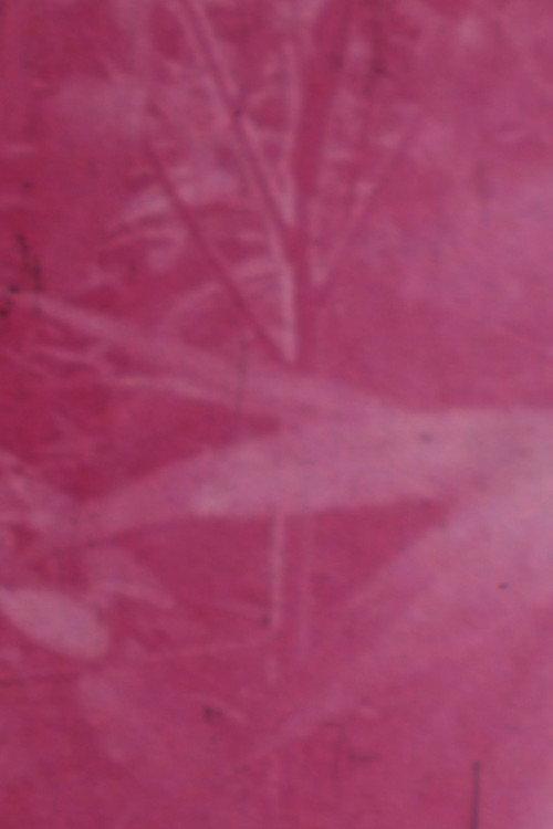 Ornamentals 1979 official movie poster