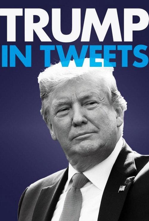 Trump in Tweets 2020 official movie poster