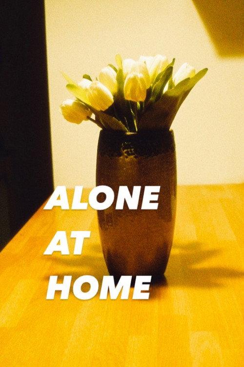 Alone at Home 2024 official movie poster