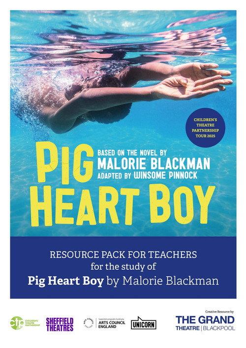 Pig Heart Boy 1999 official movie poster