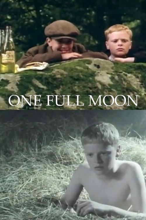 One Full Moon 1991 official movie poster