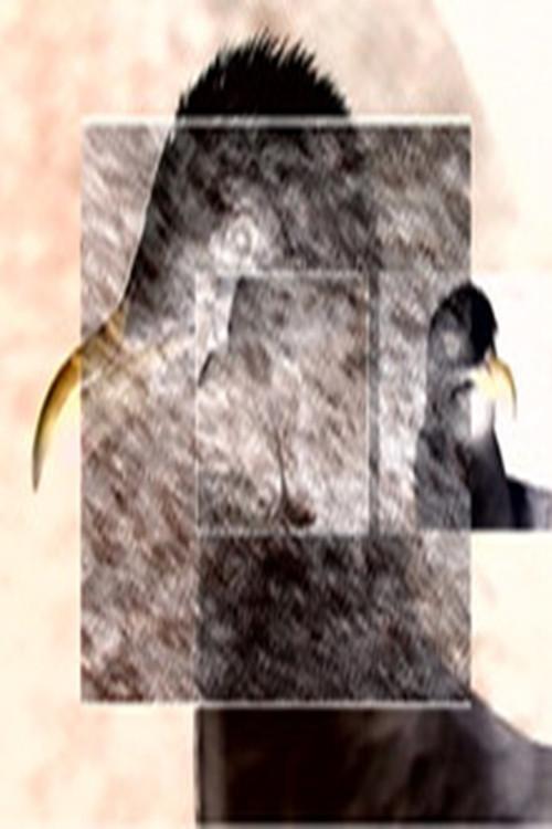 Ruffled Feathers 2016 official movie poster