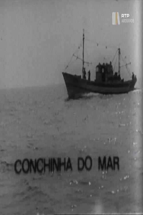 Conchinha do Mar 1975 official movie poster