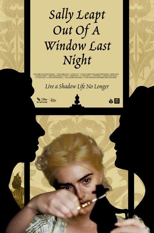 Sally Leapt Out of a Window Last Night 2023 official movie poster