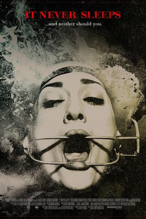 It Never Sleeps 2014 official movie poster