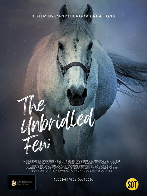 The Unbridled Few 2023 official movie poster