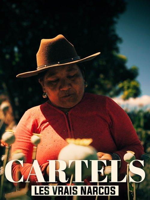 Les vrais Narcos 2020 official movie poster