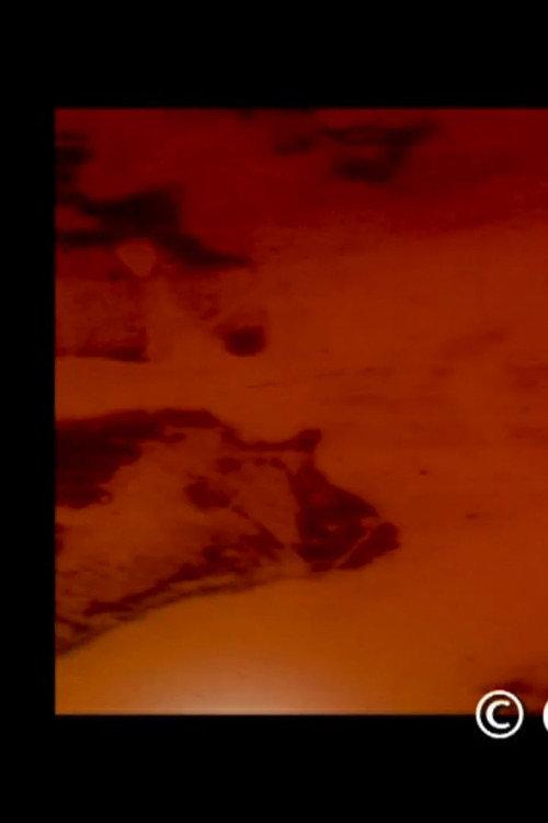 Visitor in the Inside 2011 official movie poster