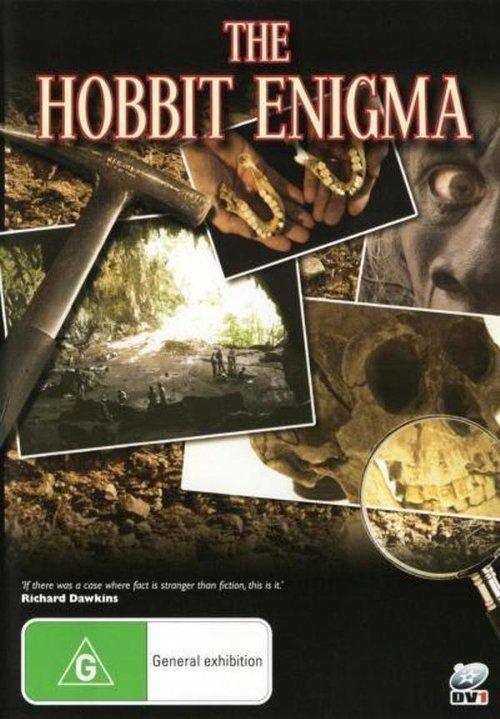 The Hobbit Enigma 2008 official movie poster