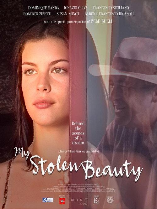 My Stolen Beauty 2026 official movie poster
