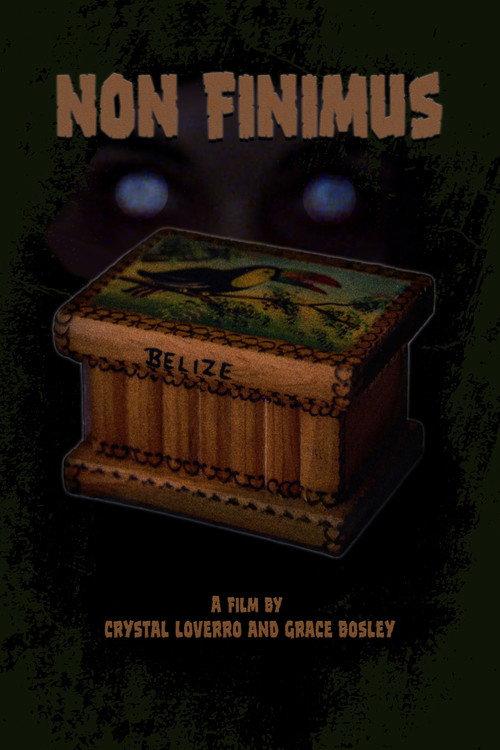 Non Finimus official movie poster