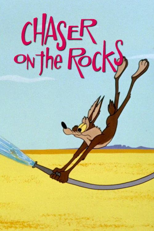 Chaser on the Rocks 1965 official movie poster