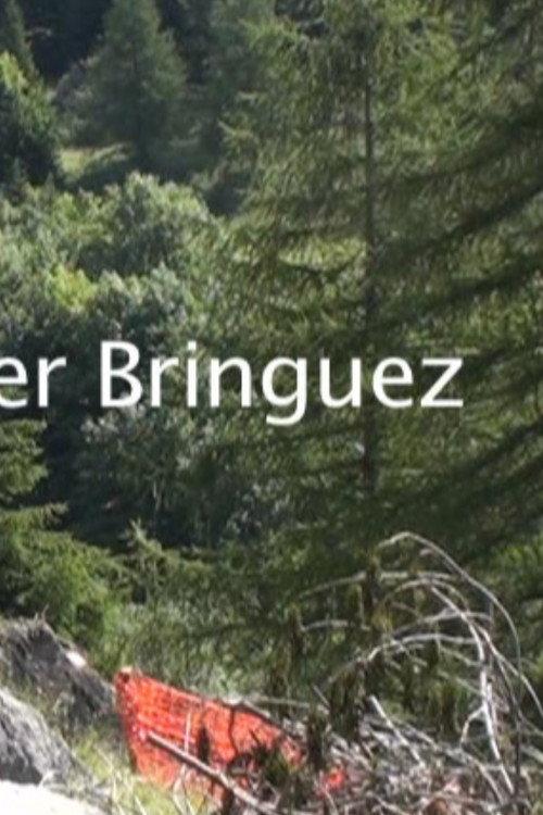 The road for Bringuez  official movie poster