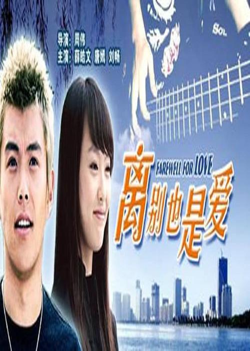 Farewell For Love 2007 official movie poster