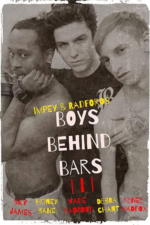 Boys Behind Bars 3 2015 official movie poster