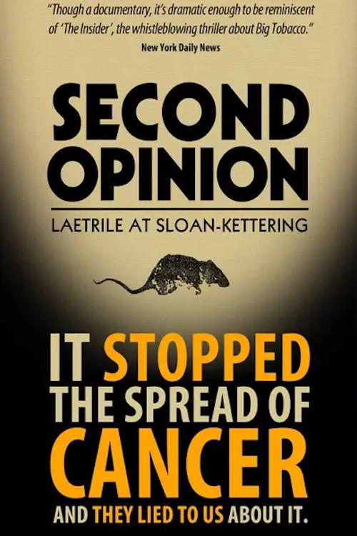 Second Opinion 2014 official movie poster