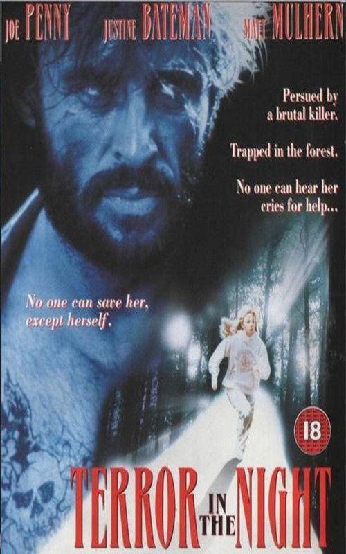 Terror in the Night 1994 official movie poster