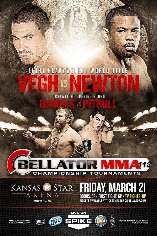 Bellator 113 2014 official movie poster