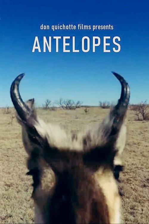 Antelopes 2020 official movie poster