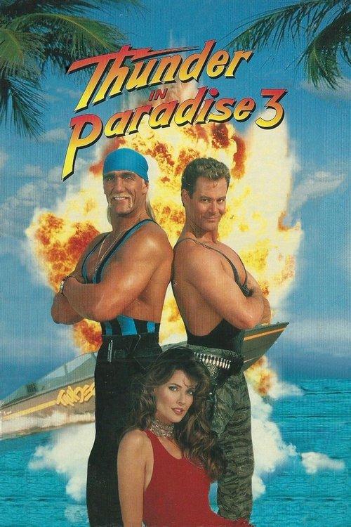Thunder in Paradise 3 1995 official movie poster