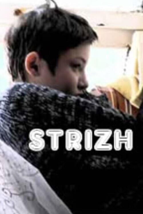 Swift 2008 official movie poster