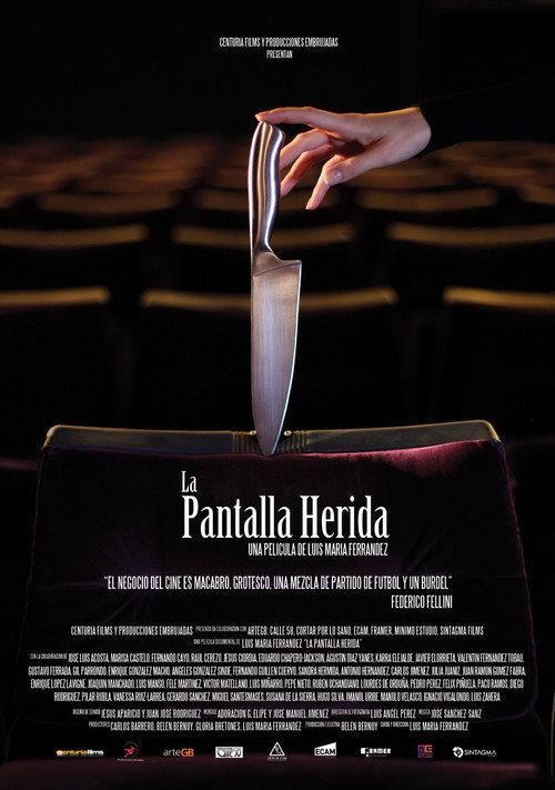 La pantalla herida 2014 official movie poster