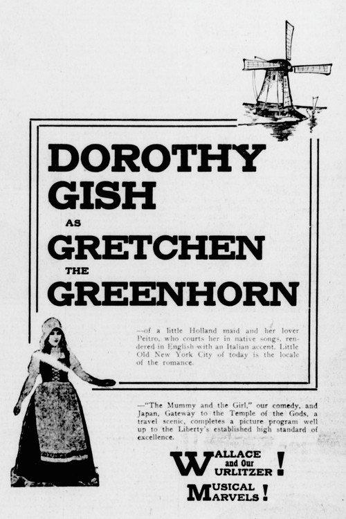 Gretchen the Greenhorn 1916 official movie poster