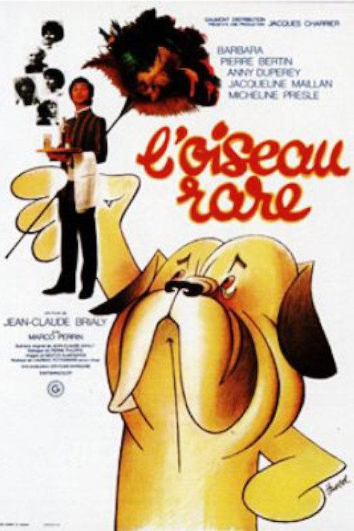A Rare Bird 1973 official movie poster