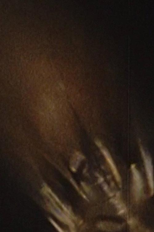 Micromoth 2000 official movie poster