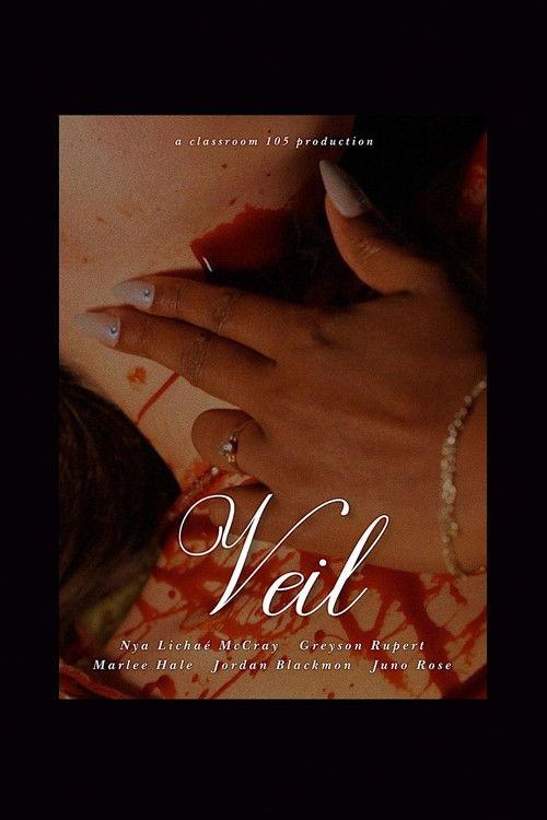 Veil 2025 official movie poster