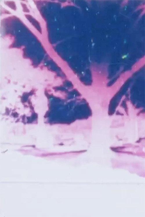 Light Play 1984 official movie poster
