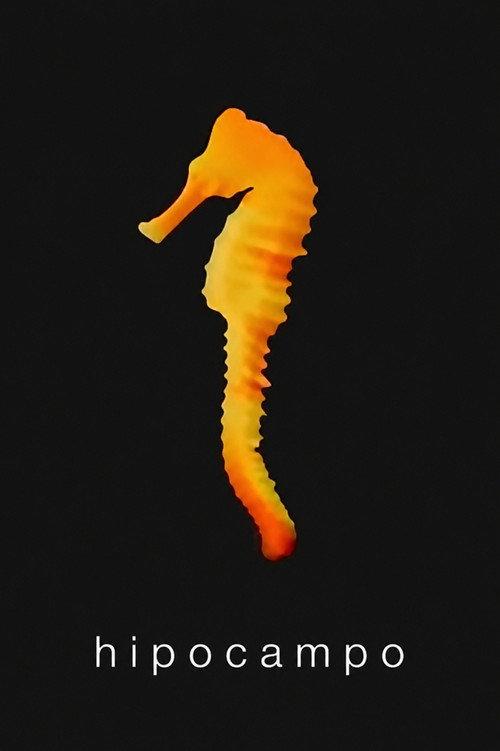 Hippocampus 2000 official movie poster