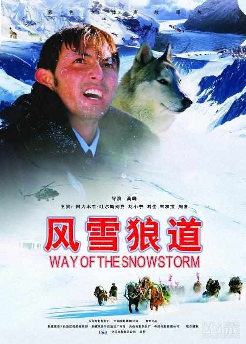 Way of the Snowstorm 2007 official movie poster