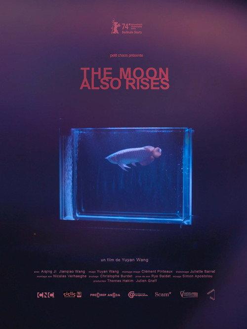 The Moon Also Rises 2024 official movie poster