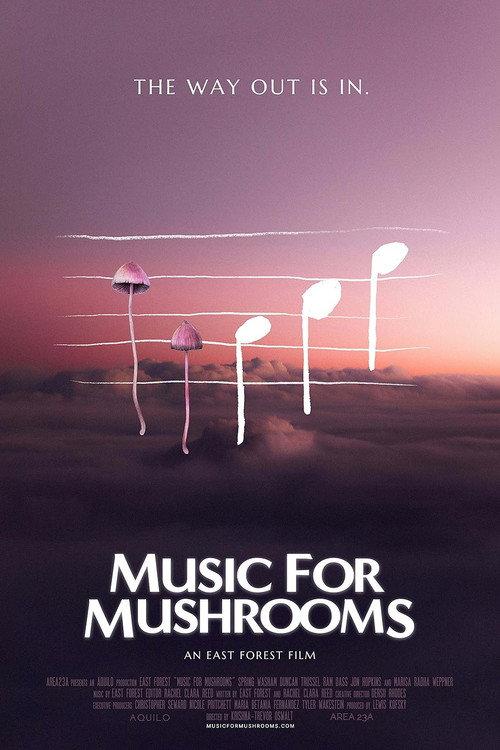 Music for Mushrooms 2024 official movie poster
