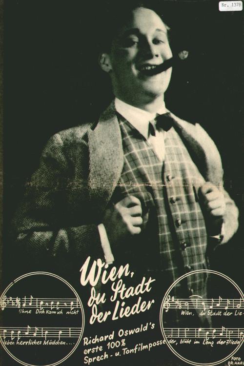 Vienna, City of Song 1930 official movie poster
