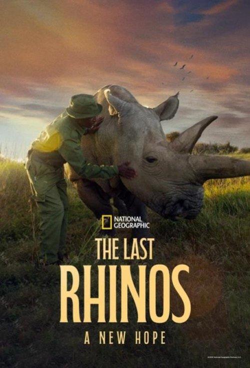 The Last Rhinos: A New Hope 2025 official movie poster