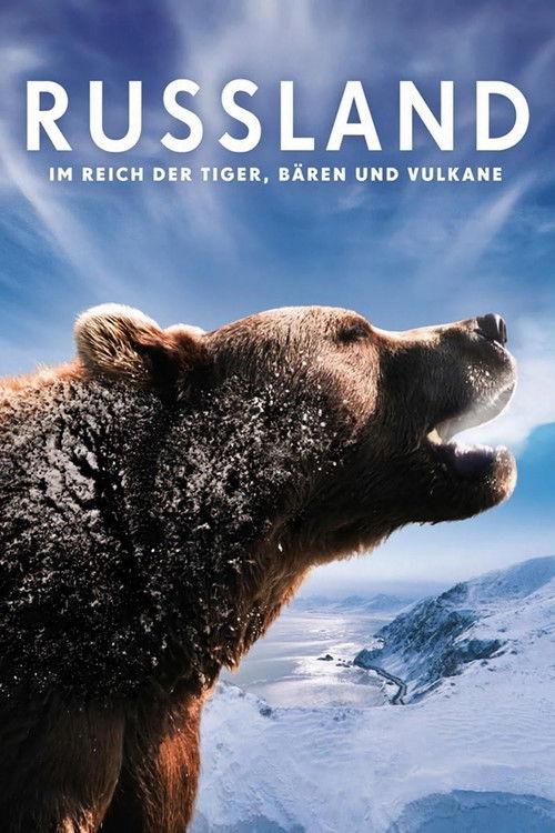 Russia - In the Realm of Tigers, Bears and Volcanoes 2011 official movie poster