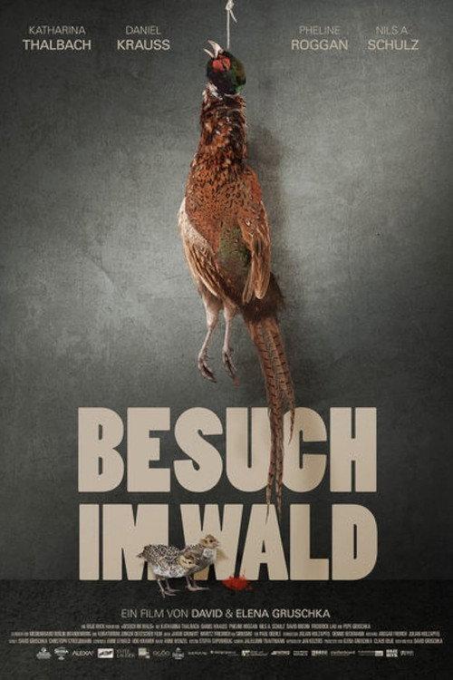 Besuch im Wald 2015 official movie poster