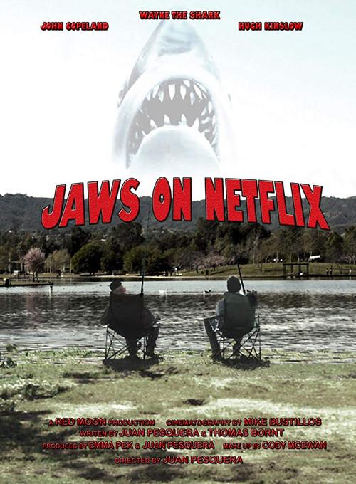 Jaws on Netflix 2013 official movie poster