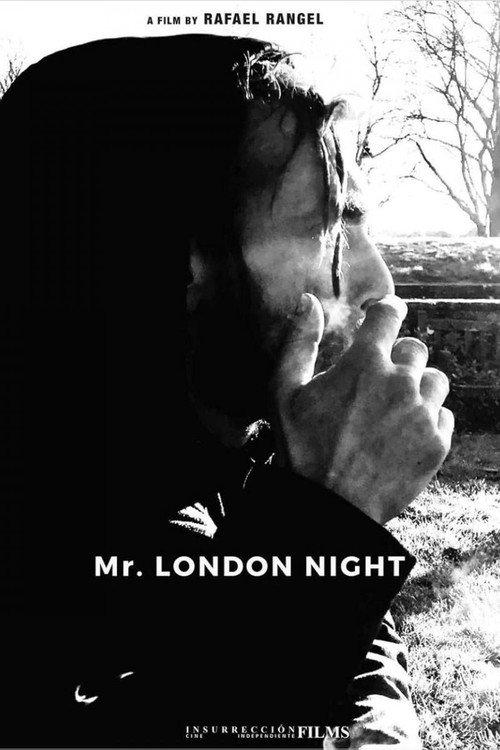 Mr. London Night 2024 official movie poster