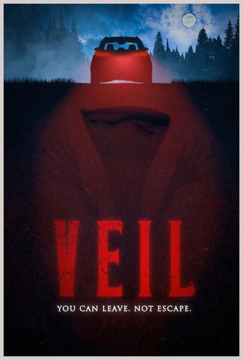 VEIL 2026 official movie poster