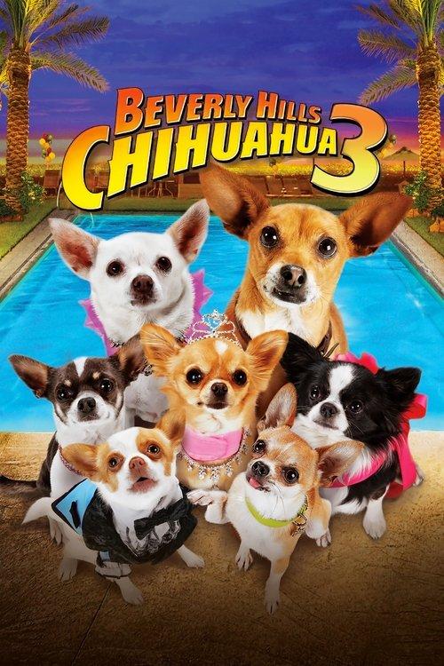 Beverly Hills Chihuahua 3: Viva la Fiesta! 2012 official movie poster
