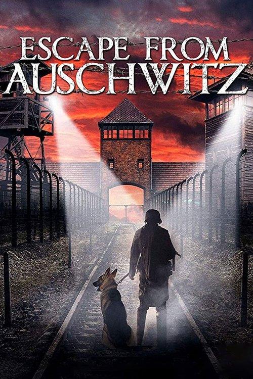The Escape from Auschwitz 2020 official movie poster