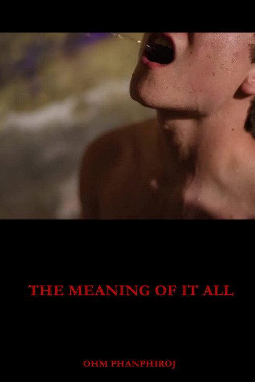 The Meaning of It All 2018 official movie poster