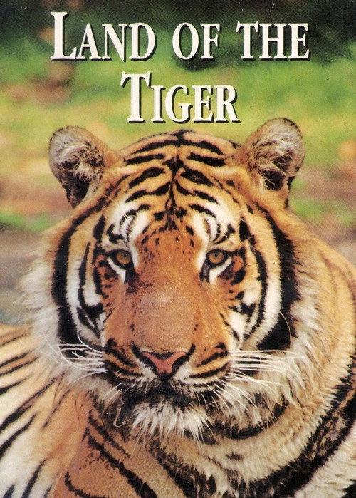 National Geographic: Land of the Tiger 1985 official movie poster