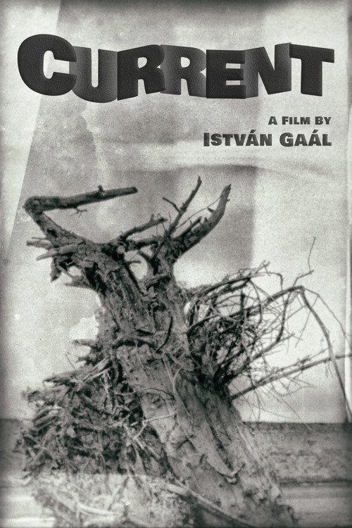 Current 1964 official movie poster