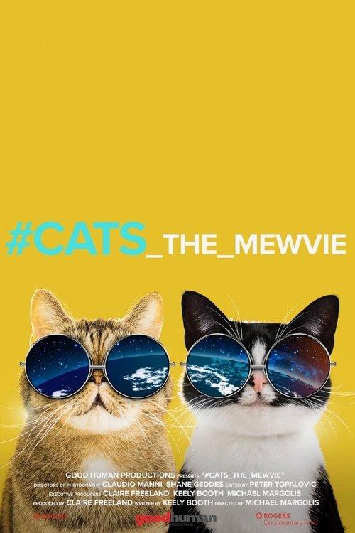 #cats_the_mewvie 2020 official movie poster